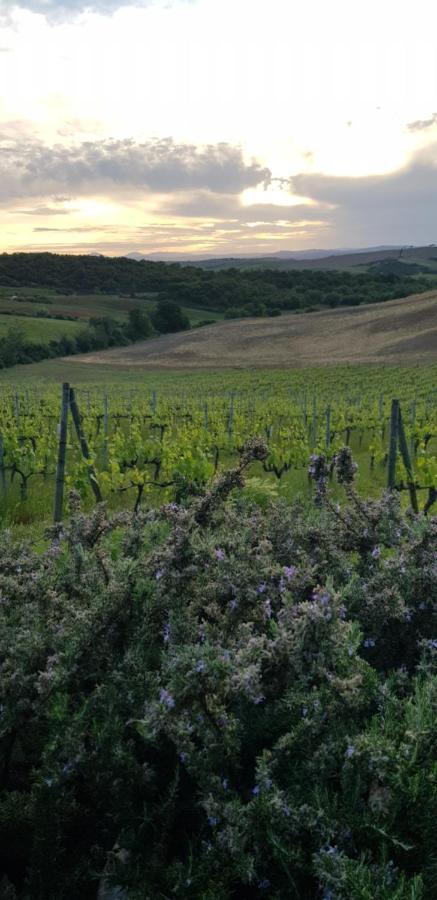 Agriturismo Bagnaia San Quirico dʼOrcia Buitenkant foto