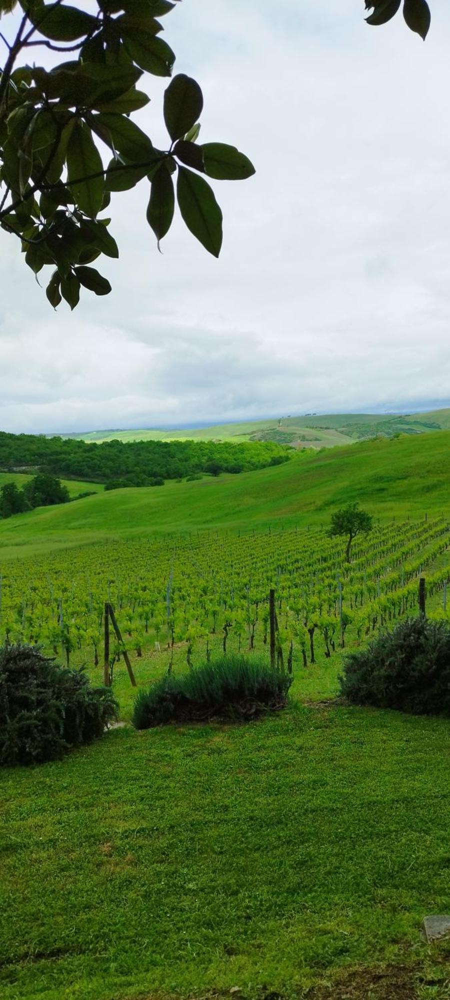 Agriturismo Bagnaia San Quirico dʼOrcia Buitenkant foto