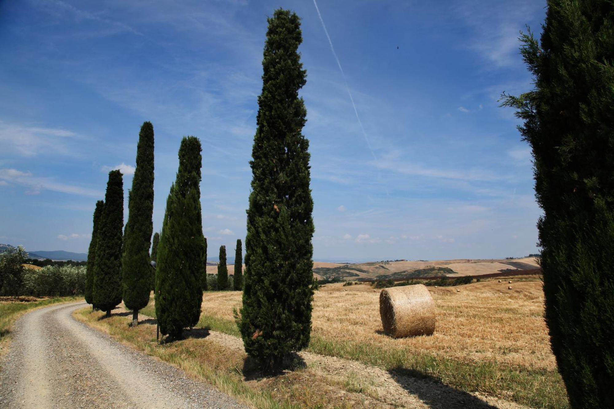 Agriturismo Bagnaia San Quirico dʼOrcia Buitenkant foto