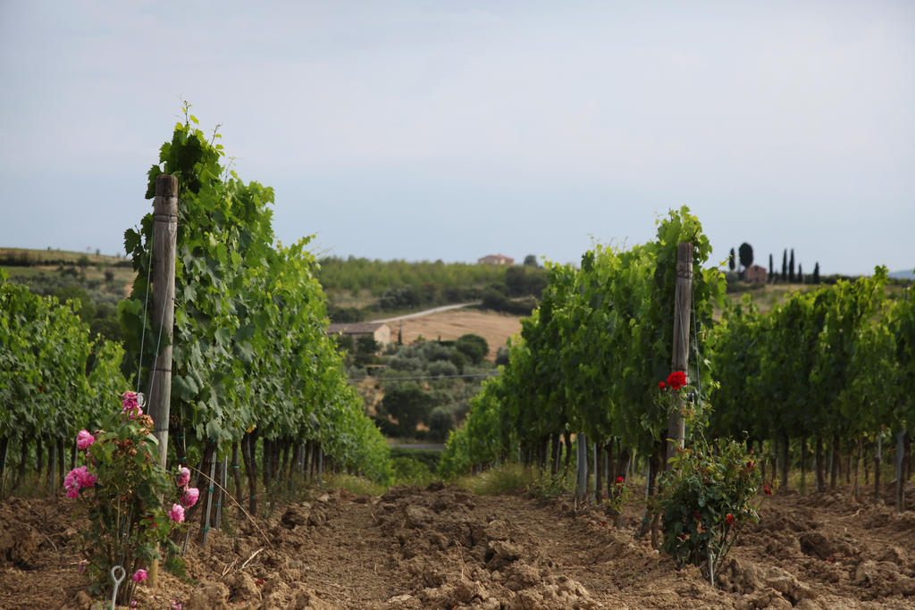 Agriturismo Bagnaia San Quirico dʼOrcia Buitenkant foto
