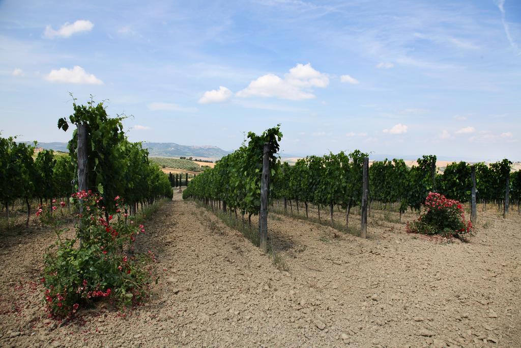 Agriturismo Bagnaia San Quirico dʼOrcia Buitenkant foto