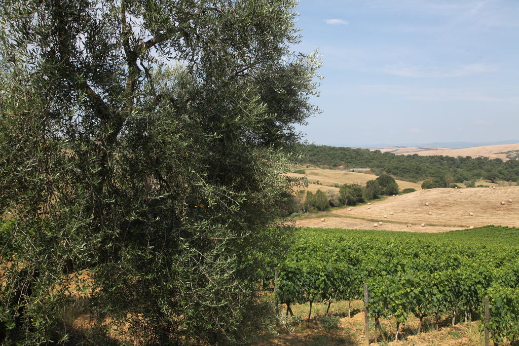 Agriturismo Bagnaia San Quirico dʼOrcia Buitenkant foto