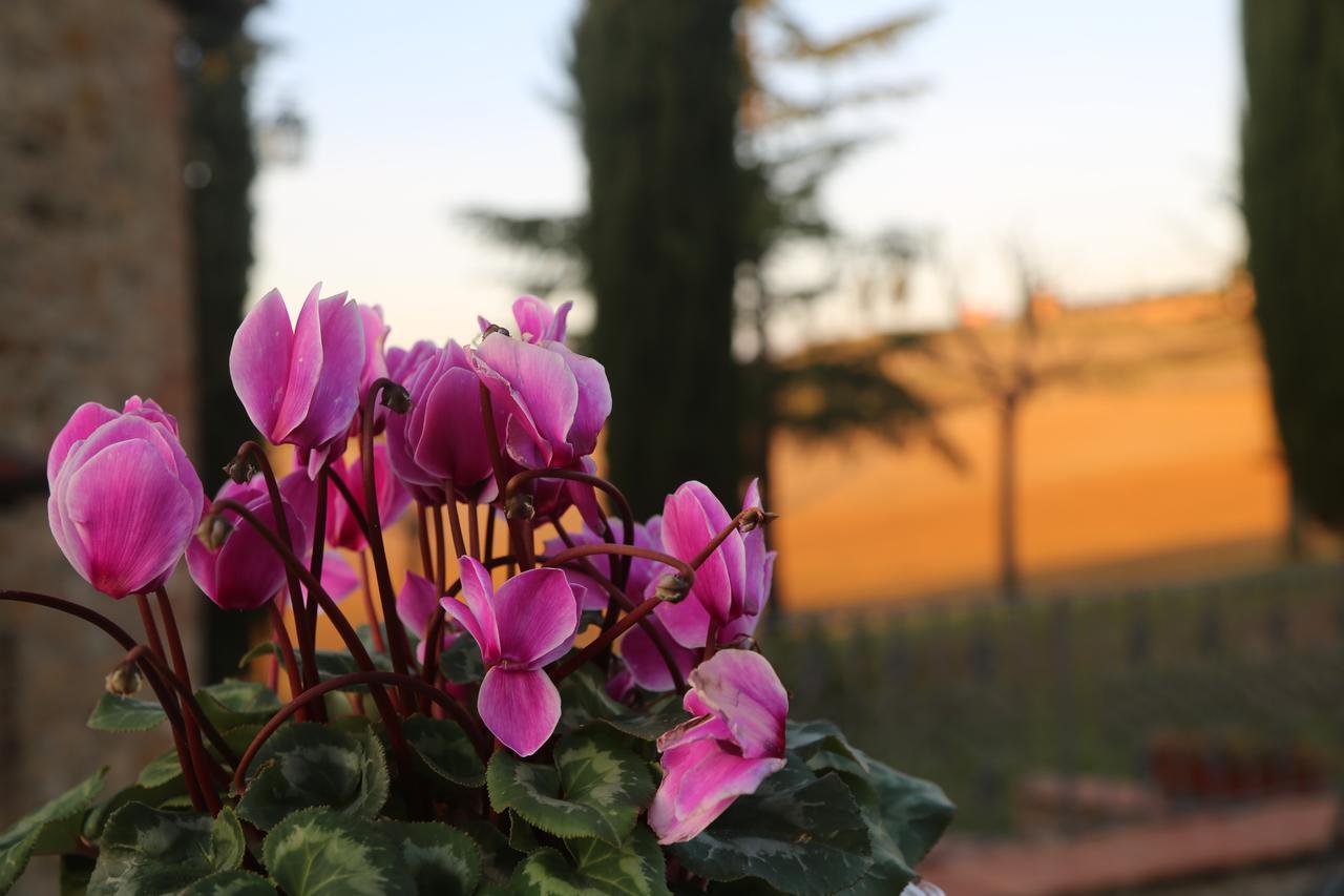 Agriturismo Bagnaia San Quirico dʼOrcia Buitenkant foto